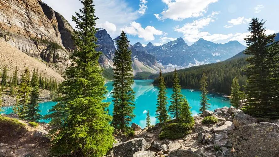 新型数字化环保
